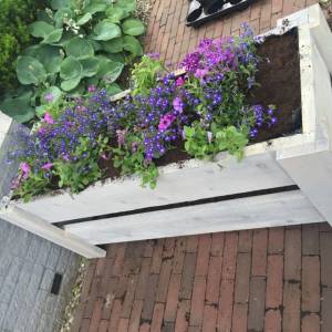 Steigerhouten bloembak